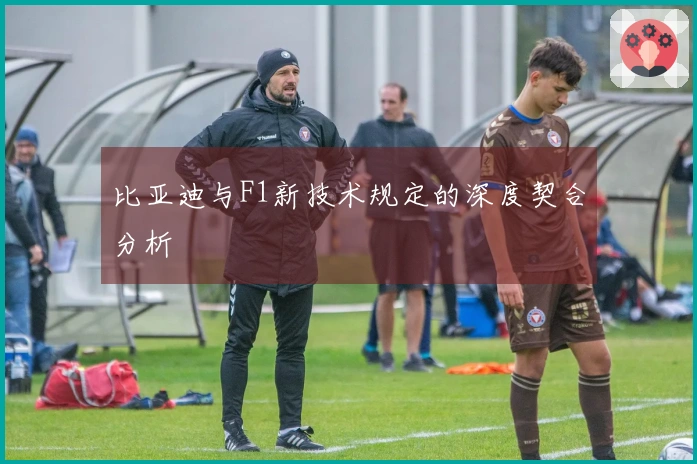 比亚迪与F1新技术规定的深度契合分析